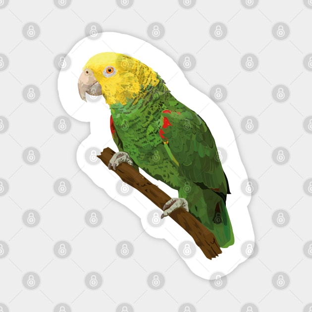 Yellow-headed Amazon Magnet by obscurite