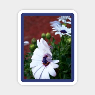 Lispe Blue Centered Daisy Magnet