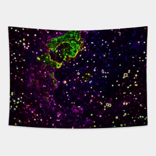 Black Panther Art - Glowing Edges 314 Tapestry