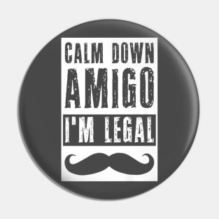 Im Legal Immigrant Funny Patriot Calm Down Us Pride Pin