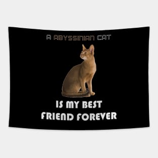 A Abyssinian Cat is My Best Friend Forever Tapestry