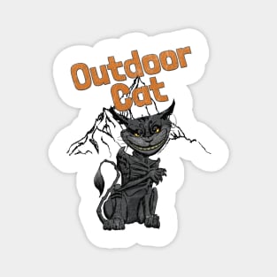 outdoor cat Magnet