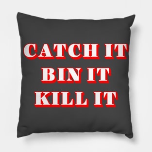 Kill those germs! Pillow