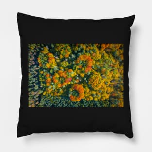 Aerial top down view of vibrant colorful autumn forest Pillow