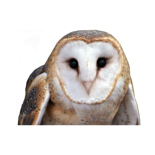 Barn Owl Photo T-Shirt