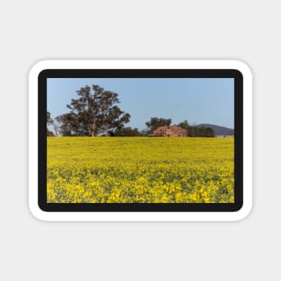 Canola Feild Magnet