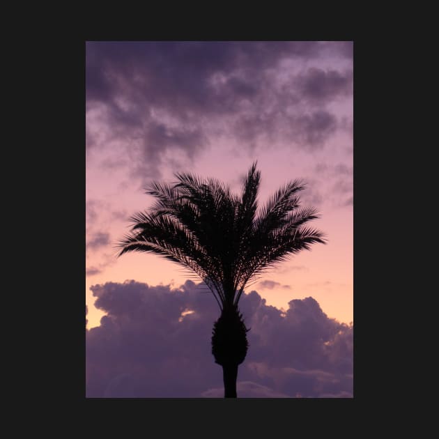 Tropical Palm Tree with Violet Sunset by Sandraartist