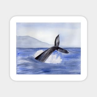 Whale Fin Watercolor Art Magnet
