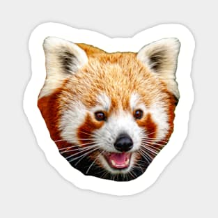 Cute Red Panda Magnet