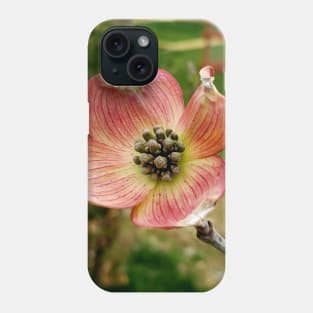 Lispe Pink Dogwood Flower Phone Case