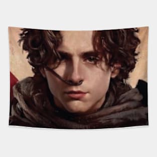 timothee chalamet Tapestry