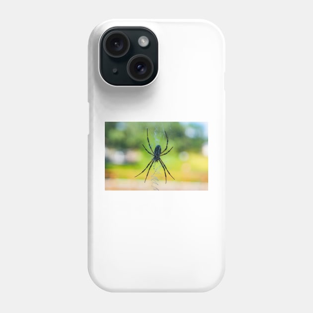 Garden Spider Phone Case by KensLensDesigns