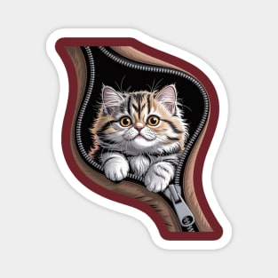 British Longhair Cat Zipper Cats Cute Kitty Lover Gift Magnet