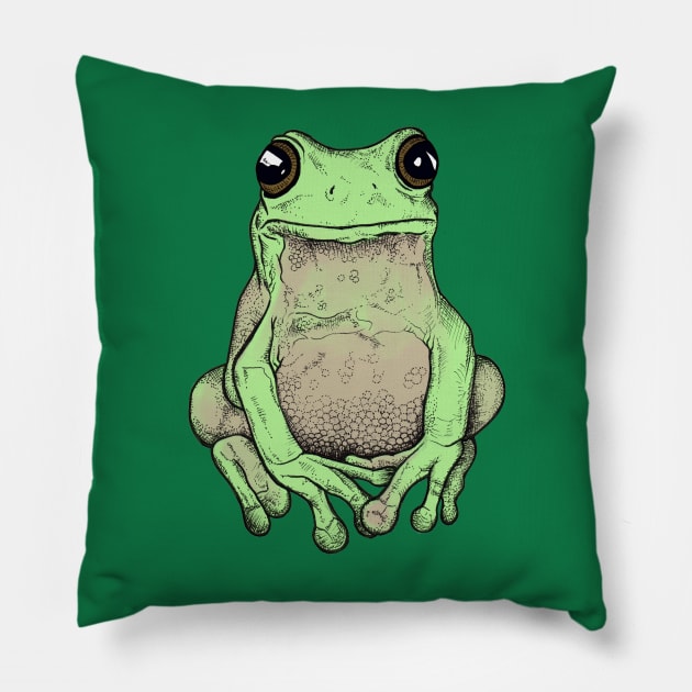 Cute Grumpy Frog Pillow by Robyn-Jade