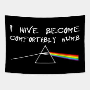 I Have Become Comfortably Numbk Floyd Tapestry