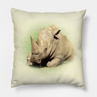 Rhinoceros Pillow