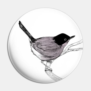 Blackcap Bird Pin