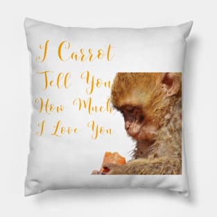 I Carrot Tell You How Much I Love You Pillow