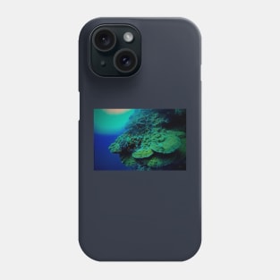 CORAL ANTHIAS OF THE RED SEA Phone Case