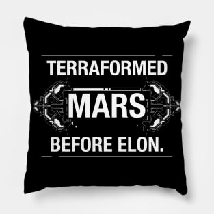 Terraformed Mars Before Elon Funny Board Game Pillow