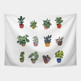 House  Plants illustration 2 Tapestry