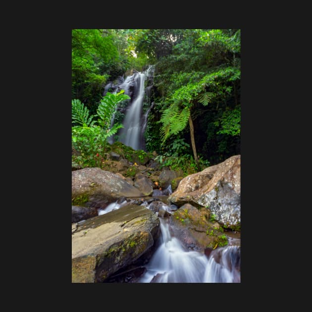 Philippine Highlands - Pataan Waterfalls by likbatonboot