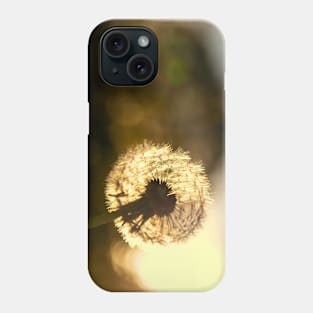 Dandelion Sunset Photo Phone Case