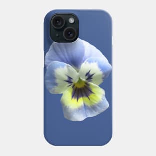 blue pansy flower, pansies, violets, bloom, viola Phone Case