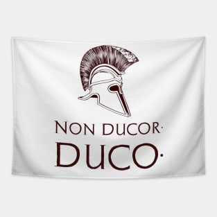 "Non ducor, duco." I am not led, I lead. Tapestry