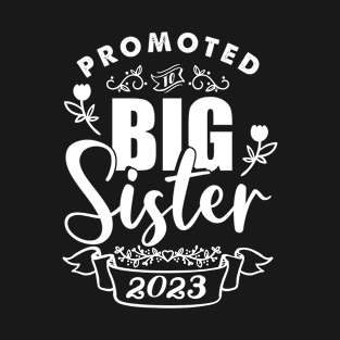 Gift for birth sister siblings 2023 T-Shirt