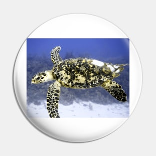 Hawksbill Sea Turtle Pin