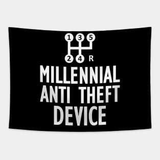 Millennial anti theft device w Tapestry