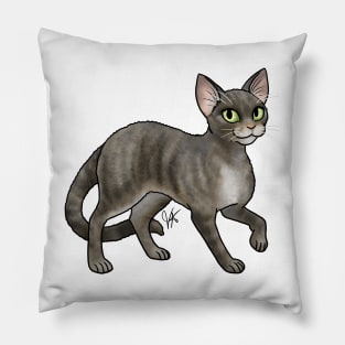 Cat - Devon Rex - Smoke Pillow