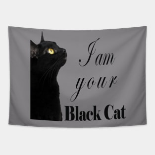 Black Cat Tapestry