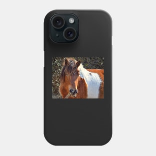 Assateague Pony Ms Macky Portrait Phone Case