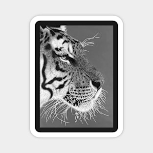 Sepia monochrome black and white tiger Magnet