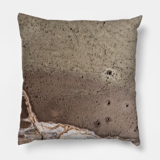 Leaking concrete 22 Pillow