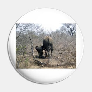 My African Safari - Elephant mom and baby in the Bush Pin