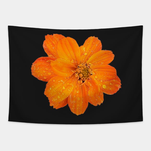 Vibrant Orange Sulfur Cosmos Tapestry by DesignMore21