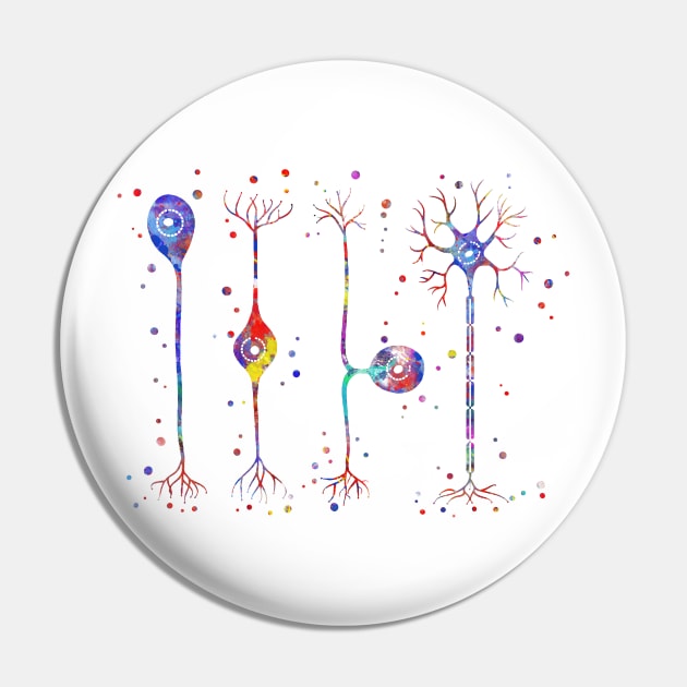 Four types of neurons Pin by RosaliArt