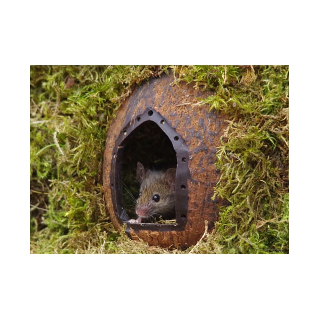 George the mouse in a log pile house - at the door by Simon-dell