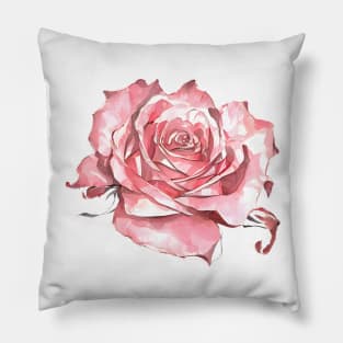 Romantic Blush Pink Isolated Rose Blossom Watercolor Artistic Rose Art Pillow