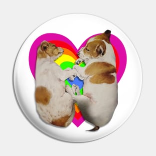 Super cute Jack Russell terriers sleeping on a rainbow heart Pin