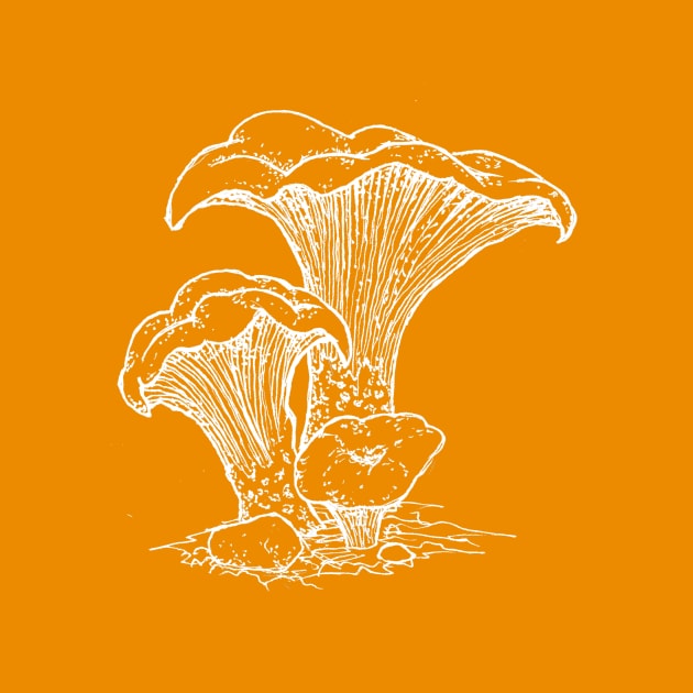 Chanterelle Mushroom by mycologist