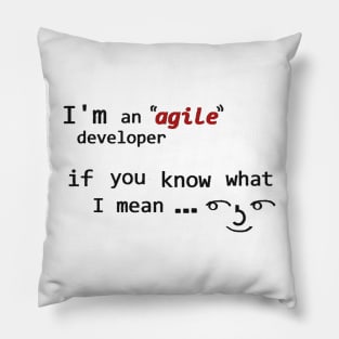 Agile ( ͡° ͜ʖ ͡°) Pillow
