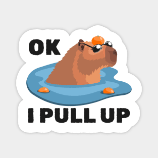 Capybara - Cool Capybara - Ok I Pull Up Magnet