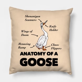 Anatomy of a Goose Pillow