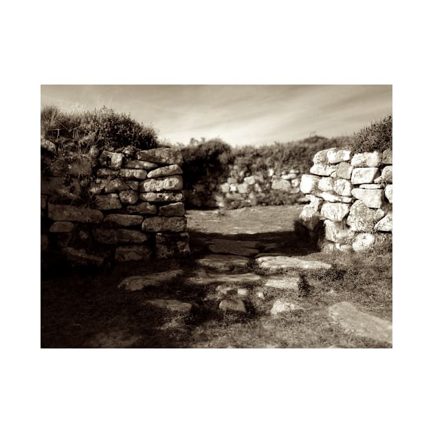 Chysauster Ancient Village, Cornwall by BarnabyEdwards