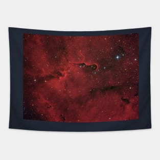 Elephant Trunk nebula in constellation Cepheus Tapestry