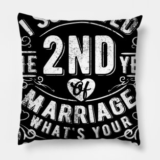 Funny Wedding Anniversary Gift- 2 years Wedding Marriage Gift Pillow